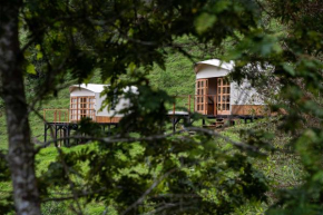 Birdglamping Aviturismo Los Arboles Glamping Hotel